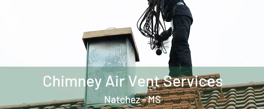  Chimney Air Vent Services Natchez - MS