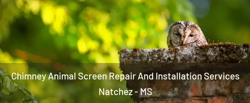  Chimney Animal Screen Repair And Installation Services Natchez - MS