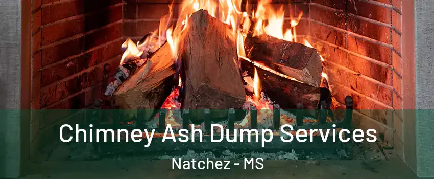  Chimney Ash Dump Services Natchez - MS