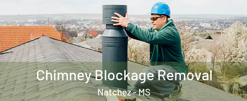  Chimney Blockage Removal Natchez - MS
