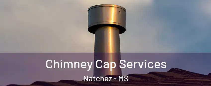  Chimney Cap Services Natchez - MS