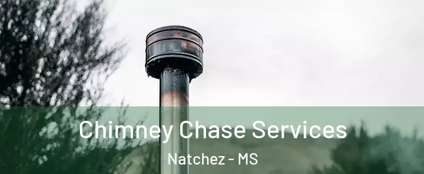  Chimney Chase Services Natchez - MS