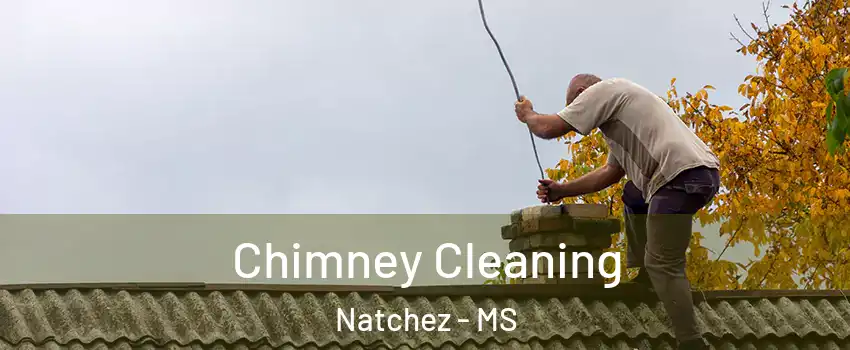  Chimney Cleaning Natchez - MS