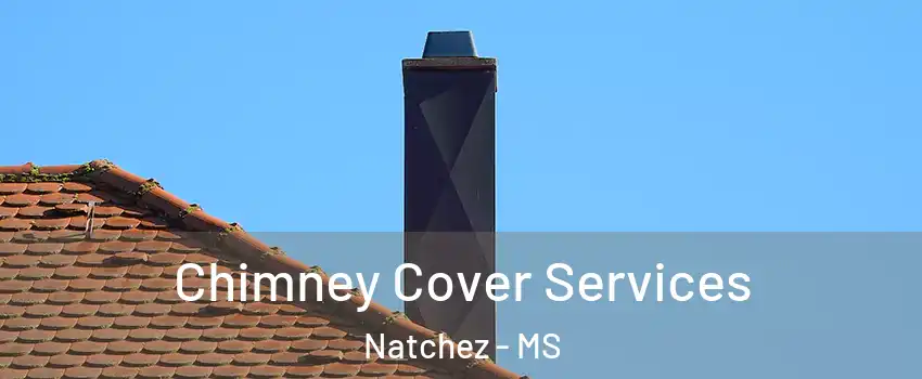  Chimney Cover Services Natchez - MS