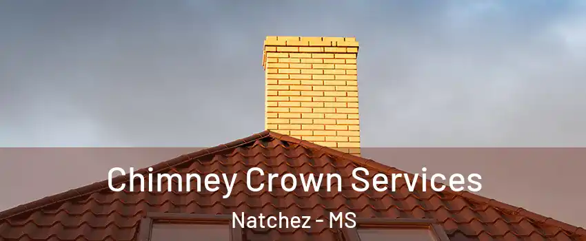 Chimney Crown Services Natchez - MS