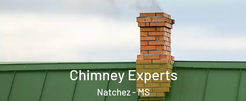  Chimney Experts Natchez - MS