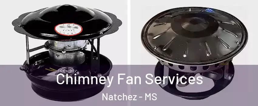  Chimney Fan Services Natchez - MS