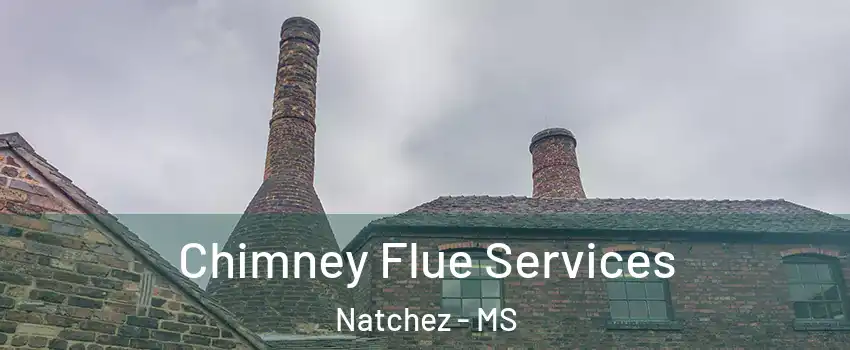  Chimney Flue Services Natchez - MS