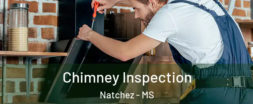  Chimney Inspection Natchez - MS