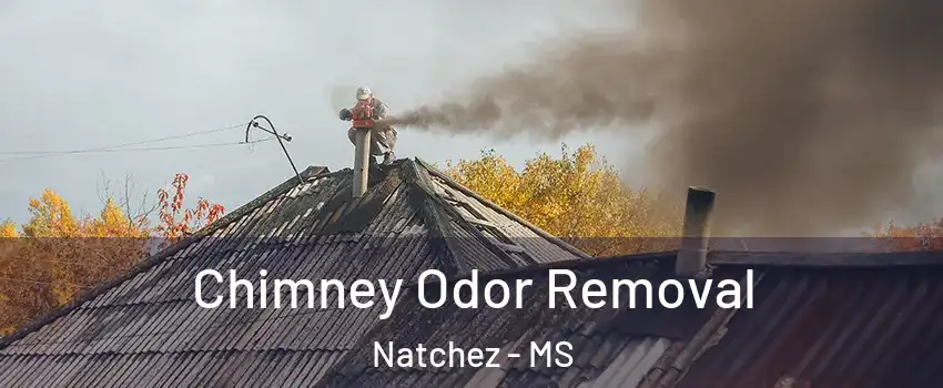  Chimney Odor Removal Natchez - MS