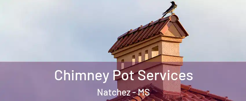  Chimney Pot Services Natchez - MS