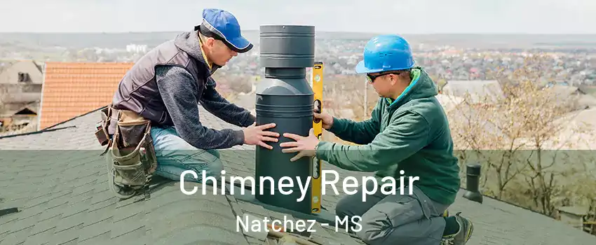  Chimney Repair Natchez - MS