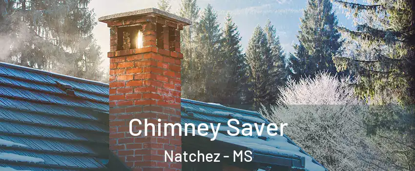  Chimney Saver Natchez - MS