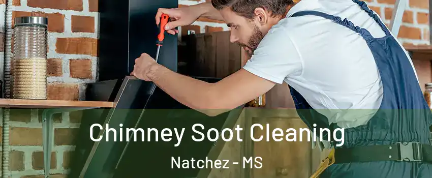  Chimney Soot Cleaning Natchez - MS