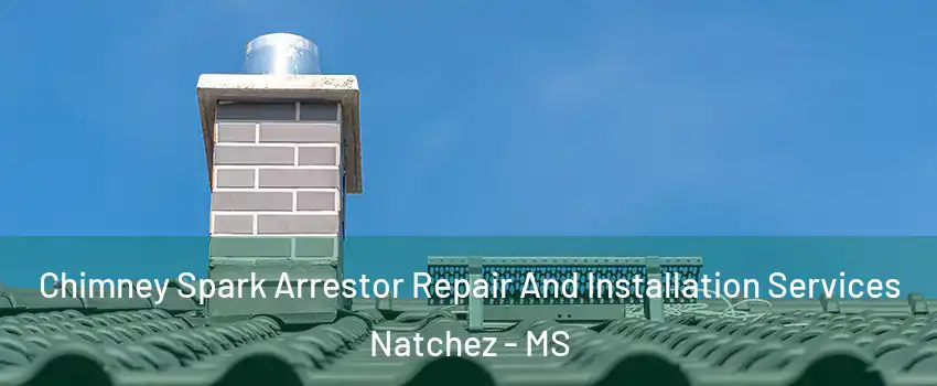  Chimney Spark Arrestor Repair And Installation Services Natchez - MS