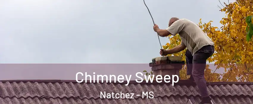  Chimney Sweep Natchez - MS
