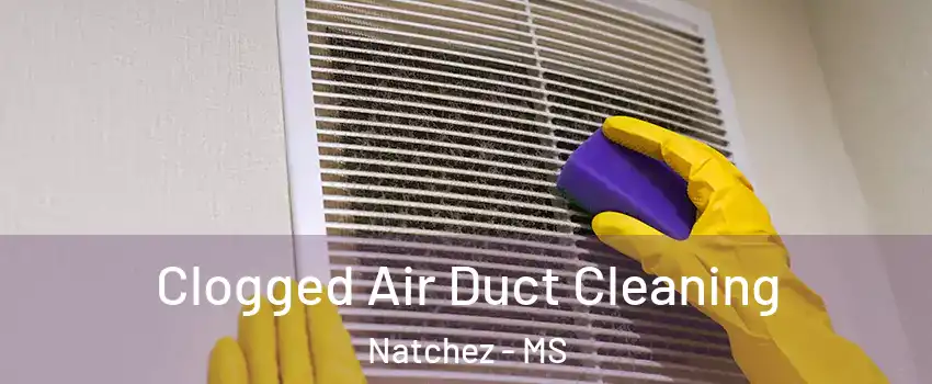  Clogged Air Duct Cleaning Natchez - MS