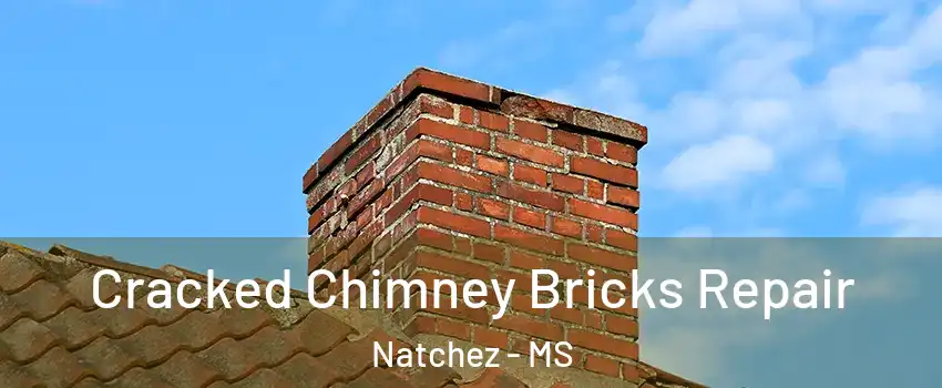  Cracked Chimney Bricks Repair Natchez - MS