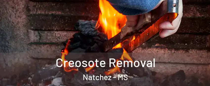  Creosote Removal Natchez - MS