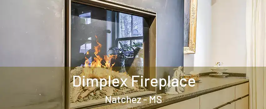 Dimplex Fireplace Natchez - MS