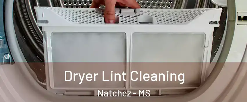  Dryer Lint Cleaning Natchez - MS