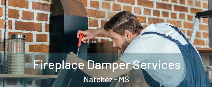  Fireplace Damper Services Natchez - MS