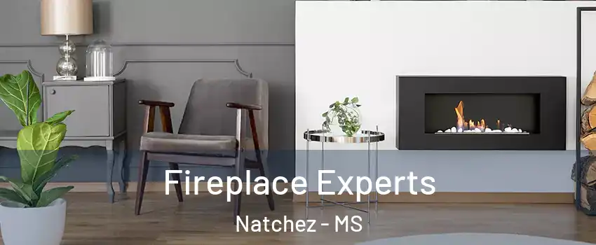  Fireplace Experts Natchez - MS