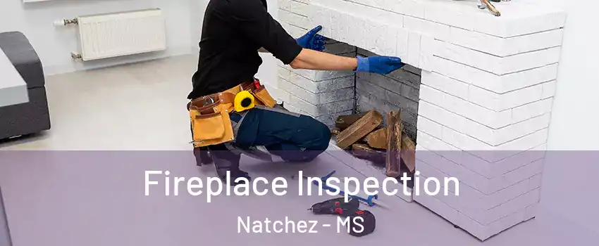  Fireplace Inspection Natchez - MS