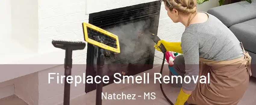  Fireplace Smell Removal Natchez - MS