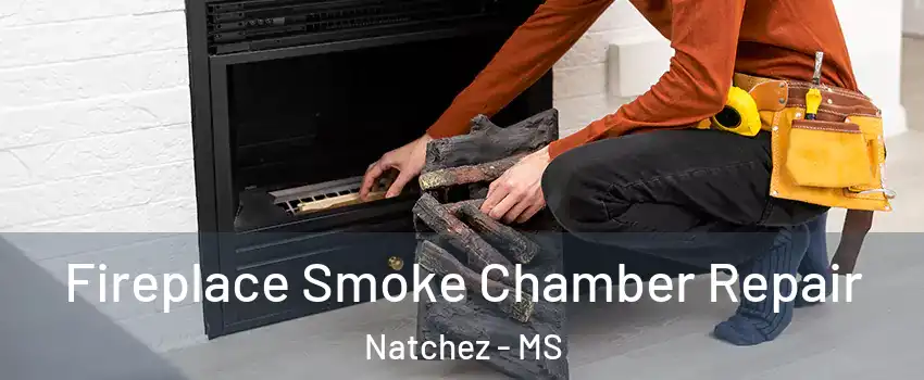  Fireplace Smoke Chamber Repair Natchez - MS