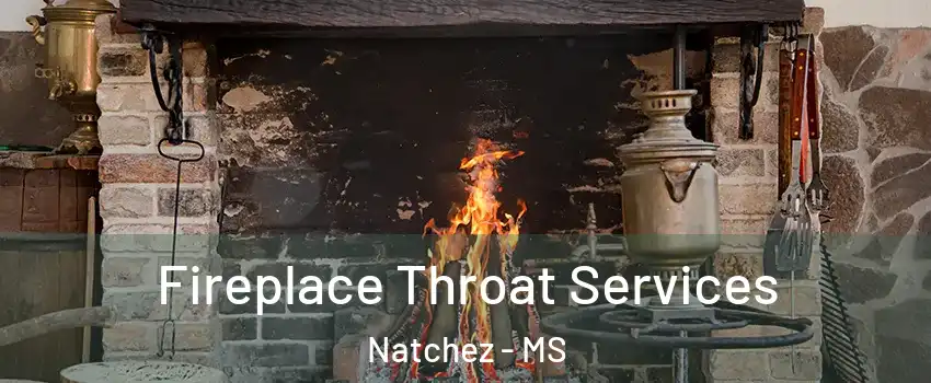  Fireplace Throat Services Natchez - MS