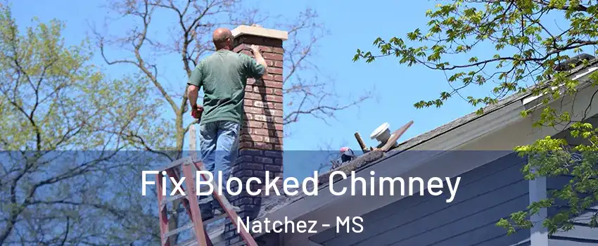  Fix Blocked Chimney Natchez - MS