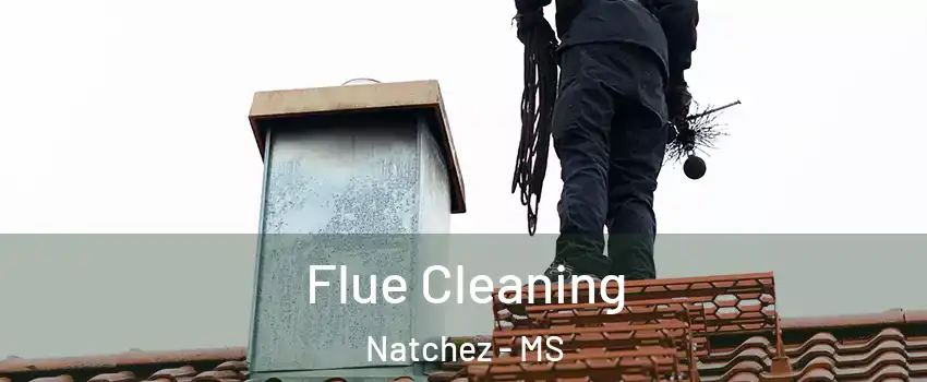  Flue Cleaning Natchez - MS