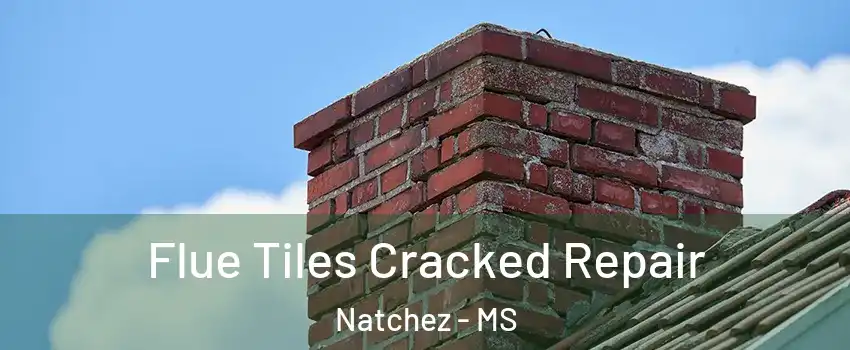  Flue Tiles Cracked Repair Natchez - MS