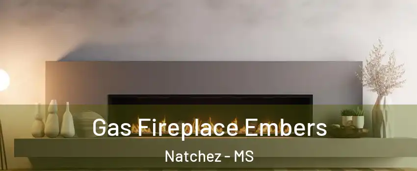  Gas Fireplace Embers Natchez - MS