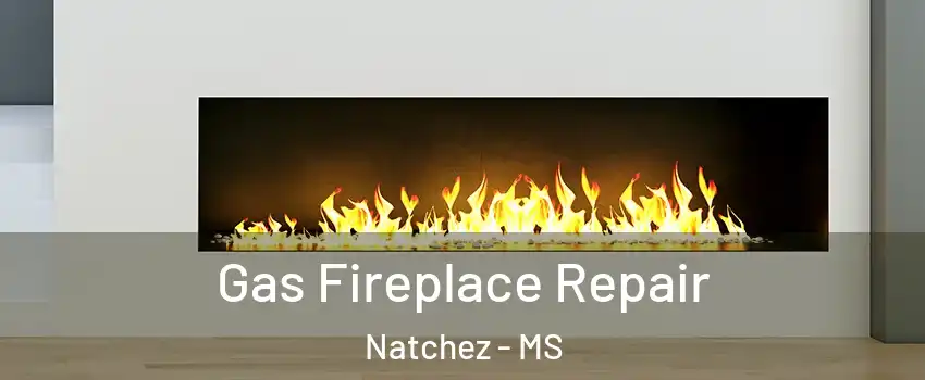  Gas Fireplace Repair Natchez - MS