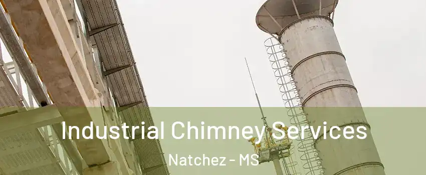  Industrial Chimney Services Natchez - MS