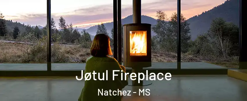  Jøtul Fireplace Natchez - MS