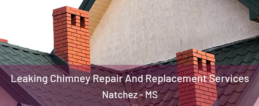  Leaking Chimney Repair And Replacement Services Natchez - MS