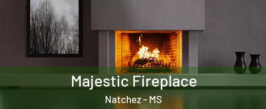  Majestic Fireplace Natchez - MS