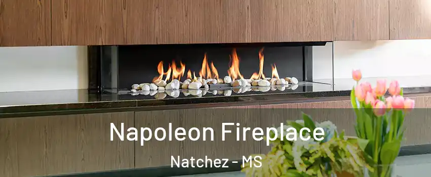  Napoleon Fireplace Natchez - MS