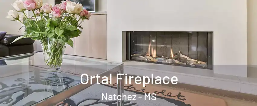  Ortal Fireplace Natchez - MS