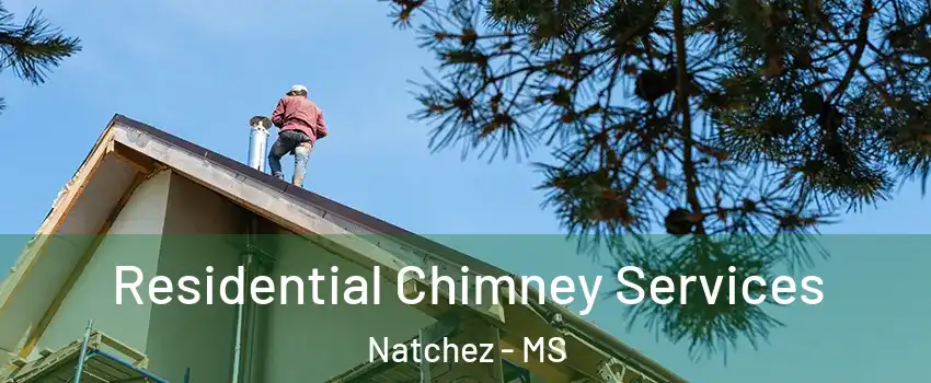  Residential Chimney Services Natchez - MS