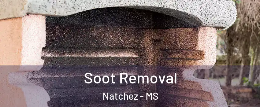  Soot Removal Natchez - MS